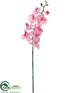 Silk Plants Direct Phalaenopsis Orchid Spray - Peach Cream - Pack of 12