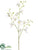 Dendrobidium Orchid Spray - White - Pack of 6