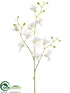 Silk Plants Direct Dendrobium Orchid Spray - White - Pack of 6