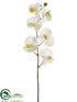 Silk Plants Direct Phalaenopsis Orchid Spray - Cream Yellow - Pack of 6
