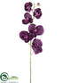 Silk Plants Direct Phalaenopsis Orchid Spray - Eggplant Two Tone - Pack of 6