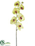 Silk Plants Direct Phalaenopsis Orchid Spray - Green Beauty - Pack of 6