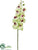 Phalaenopsis Orchid Spray - Lime Fuchsia - Pack of 6