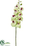 Silk Plants Direct Phalaenopsis Orchid Spray - Lime Fuchsia - Pack of 6