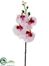 Silk Plants Direct Phalaenopsis Orchid Spray - White Orchid - Pack of 12