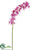 Mini Cymbidium Orchid Spray - Lilac Violet - Pack of 12