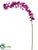 Mini Cymbidium Orchid Spray - Violet - Pack of 6