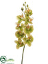 Silk Plants Direct Mini Phalaenopsis Orchid Spray - Green - Pack of 12