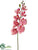 Mini Phalaenopsis Orchid Spray - Rose Fuchsia - Pack of 12