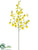 Oncidium Orchid Spray - Yellow - Pack of 12