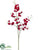 Phalaenopsis Orchid Spray - Red - Pack of 12