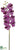 Phalaenopsis Orchid Spray - Orchid Two Tone - Pack of 12