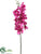 Vanda Orchid Spray - Orchid - Pack of 12