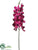 Vanda Orchid Spray - Wine - Pack of 12
