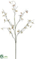 Silk Plants Direct Cymbidium Orchid Spray - Cream White - Pack of 12