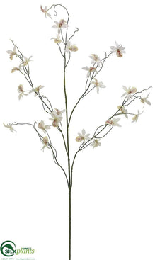 Cymbidium Orchid Spray - Cream White - Pack of 12