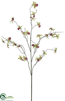 Cymbidium Orchid Spray - Green Cerise - Pack of 12