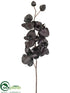 Silk Plants Direct Phalaenopsis Orchid Spray - Black - Pack of 12