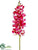 Vanda Orchid Spray - Beauty - Pack of 12