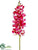 Vanda Orchid Spray - Beauty - Pack of 12