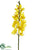 Vanda Orchid Spray - Yellow - Pack of 12
