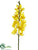 Vanda Orchid Spray - Yellow - Pack of 12