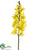 Vanda Orchid Spray - Yellow - Pack of 12