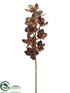 Silk Plants Direct Cymbidium Orchid Spray - Chocolate - Pack of 6