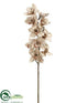 Silk Plants Direct Cymbidium Orchid Spray - - Pack of 6