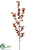 Oncidium Orchid Spray - Rust - Pack of 12