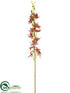 Silk Plants Direct Cymbidium Orchid Spray - Boysenberry Green - Pack of 12