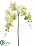 Silk Plants Direct Phalaenopsis Orchid Spray - Lime - Pack of 12