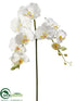 Silk Plants Direct Phalaenopsis Orchid Spray - White - Pack of 12