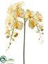 Silk Plants Direct Phalaenopsis Orchid Spray - Yellow Light - Pack of 12