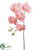 Phalaenopsis Orchid Spray - Pink - Pack of 6