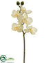 Silk Plants Direct Butterfly Orchid Spray - Cream White - Pack of 12