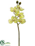 Silk Plants Direct Butterfly Orchid Spray - Green - Pack of 12