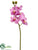 Butterfly Orchid Spray - Lilac - Pack of 12