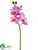 Butterfly Orchid Spray - Lilac - Pack of 12