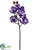 Orchid Spray - Eggplant - Pack of 12