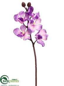 Orchid Spray - Lavender - Pack of 12