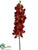 Vanda Orchid Spray - Burgundy - Pack of 12