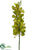 Vanda Orchid Spray - Green - Pack of 12