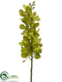 Silk Plants Direct Vanda Orchid Spray - Green - Pack of 12