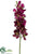Vanda Orchid Spray - Violet - Pack of 12