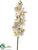 Vanda Orchid Spray - White - Pack of 12