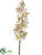 Vanda Orchid Spray - White - Pack of 12