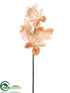 Silk Plants Direct Vanda Orchid Spray - Camel - Pack of 12