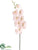 Silk Plants Direct Phalaenopsis Orchid Spray - Blush - Pack of 6
