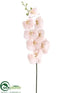 Silk Plants Direct Phalaenopsis Orchid Spray - Blush - Pack of 6